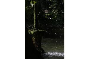 Mystisch