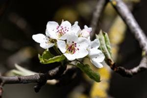 Frühling