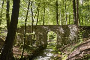 Römerbrücke im Buchenwald