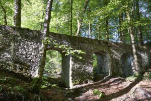 Römerbrücke im Buchenwald