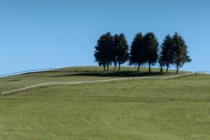 Appenzell