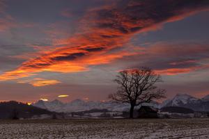 Magischer Morgen vor Heiligabend... Magischer Morgen vor Heiligabend...