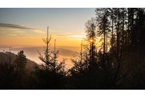 Sonnenaufgang am Belchen Sonnenaufgang am Belchen