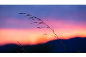 Sonnenuntergang minimalistisch Sonnenuntergang minimalistisch