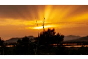 Sunset 