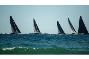 Segel Regatta Segel Regatta