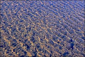 Wasser
