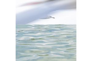 am See-Diptichphotography am See-Diptichphotography