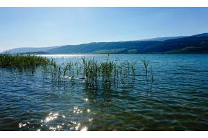 Bielersee Bielersee