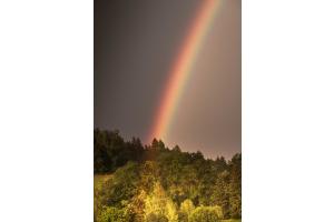 Nach dem Gewitter Nach dem Gewitter