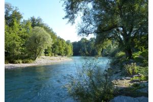 An der blauen Aare