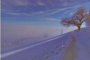 STILLE STILLE