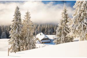 Winterruhe Winterruhe