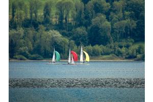 Auf dem Untersee