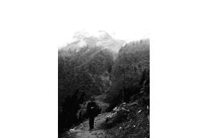 Wanderer