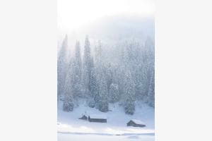 Snow