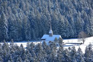 Wald Kirche