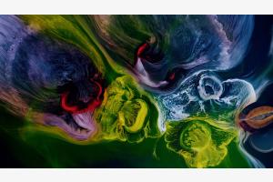 Pills in Water, No.1 (Makro) Pills in Water, No.1 (Makro)
