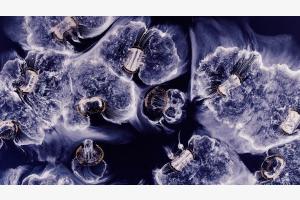Pills in Water, No.2 (Makro) Pills in Water, No.2 (Makro)