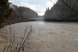 Sense bei Hochwasser