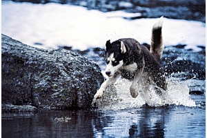 Wasseraction