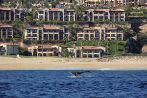 An der Küste von Cabo san Lucas