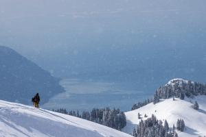 Snowboarder paradise 