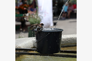 Am Aquaplausch