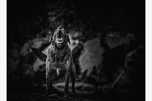 Darkness is dangerous