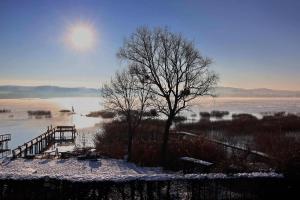 Sonnenkraft