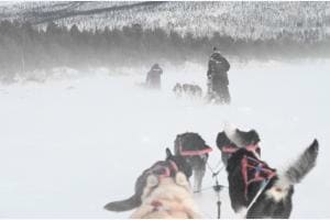 Zauberhafter Winter Zauberhafter Winter