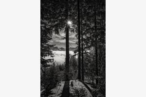 Sonnenaufgang am Gantrisch Sonnenaufgang am Gantrisch