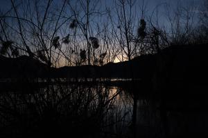 Sonnenuntergang Sonnenuntergang