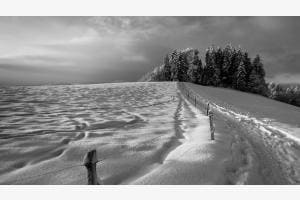 Winterzauber frühmorgens