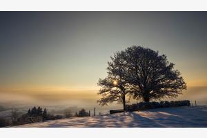 Sonnenaufgang in weichem warmen Licht