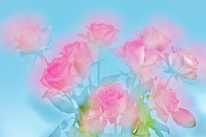 Flores 2