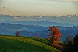 Herbstfärbung