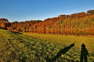 Sonne von hinten