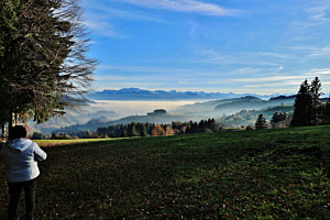 Sonne im Blick