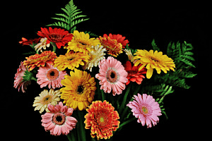 Flores 3