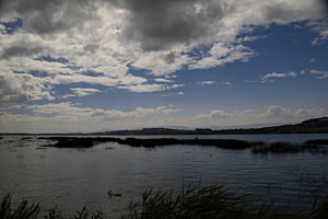 Murtensee Murtensee