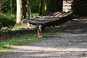 Sundaywalk