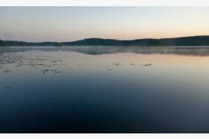 Stille Stille