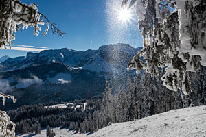 Sonnenschneestern Sonnenschneestern