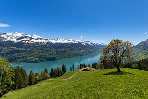 Brienzersee