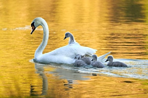 Familienausflug Familienausflug