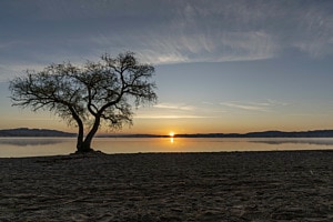 Murtensee