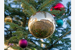 Weihnachtsbaum (Regensberg / ZH)