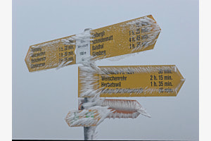 WegwEISer WegwEISer