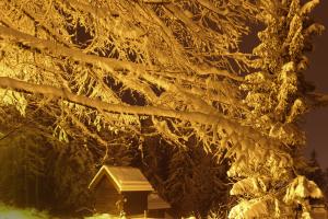 Schnee in der Nacht